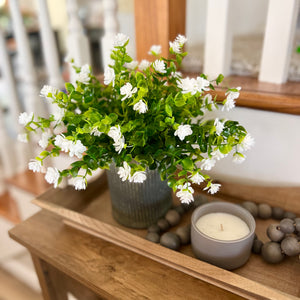 White Boxwood Arrangement (made to order)